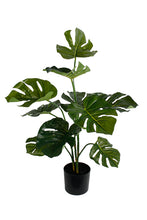 Load image into Gallery viewer, Flower Systems Monsterra Potted Plant 76cm
