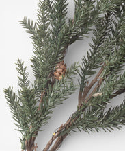 Load image into Gallery viewer, French Country Collections Pinecone Light Up Branch 70cm
