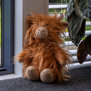 Lily & George Little Mac the Highland Cow