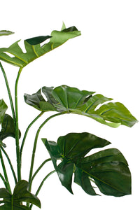 Flower Systems Monsterra Potted Plant 76cm