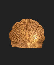 Load image into Gallery viewer, French Country Collections Flat Coral Decorative Light Up

