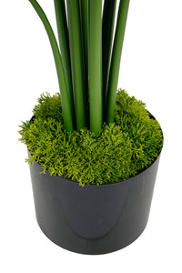 Flower Systems Moss Shapes Assorted set of 3