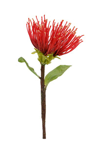 Flower Systems Pohutukawa Pick 20cm