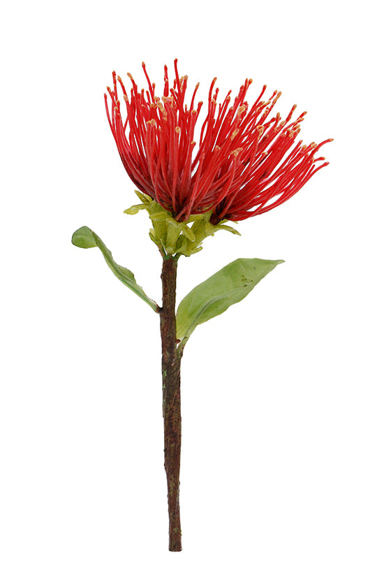 Flower Systems Pohutukawa Pick 20cm
