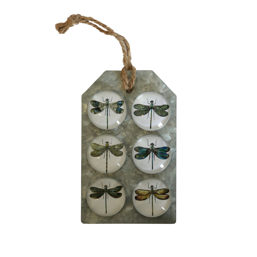 CC Interiors Dragonfly Glass Magnets