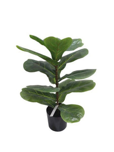 Flower Systems Fiddle Leaf Plant Potted 56cm