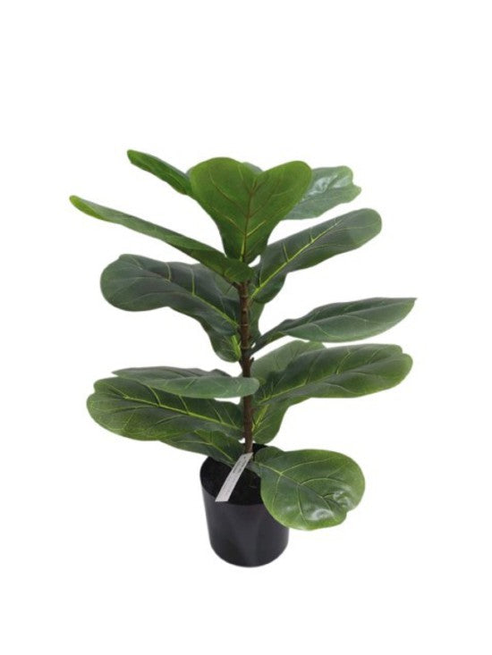 Flower Systems Fiddle Leaf Plant Potted 56cm