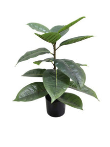 Flower Systems Rubber Plant Potted 56cm