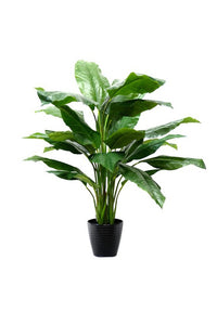 Flower Systems Potted Spathiphyllum Plant 1.1m
