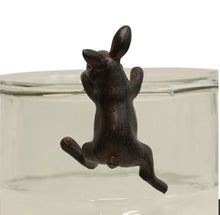 Load image into Gallery viewer, French Country Collections Hanging Bunny Decor Brown
