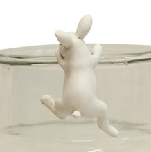 Load image into Gallery viewer, French Country Collections Hanging Bunny White
