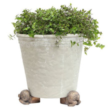 Load image into Gallery viewer, French Country Collections Set of 3 Bunny Tail Pot Stand
