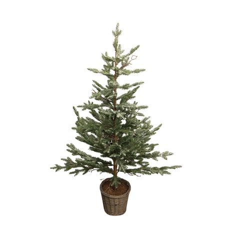 French Country Collections Pine Tree with Rattan Basket Large